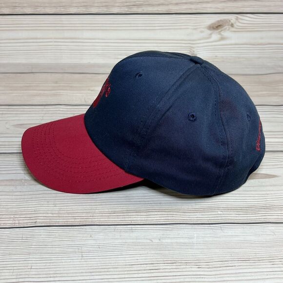 Beck's Hybrid Seed Unisex Adult Small/Teens Snapback Hat Dad Cap Red Blue Farm - Picture 3 of 12